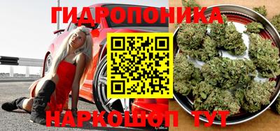 прущая мука Кингисепп