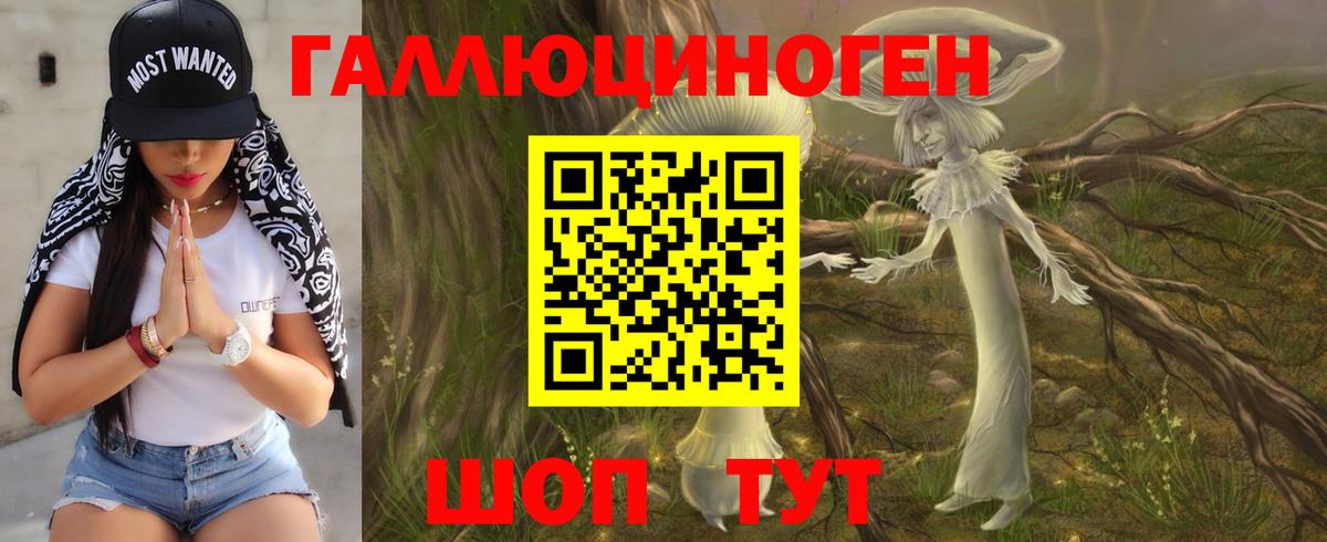 Псилоцибиновые грибы прущие грибы Хабаровск